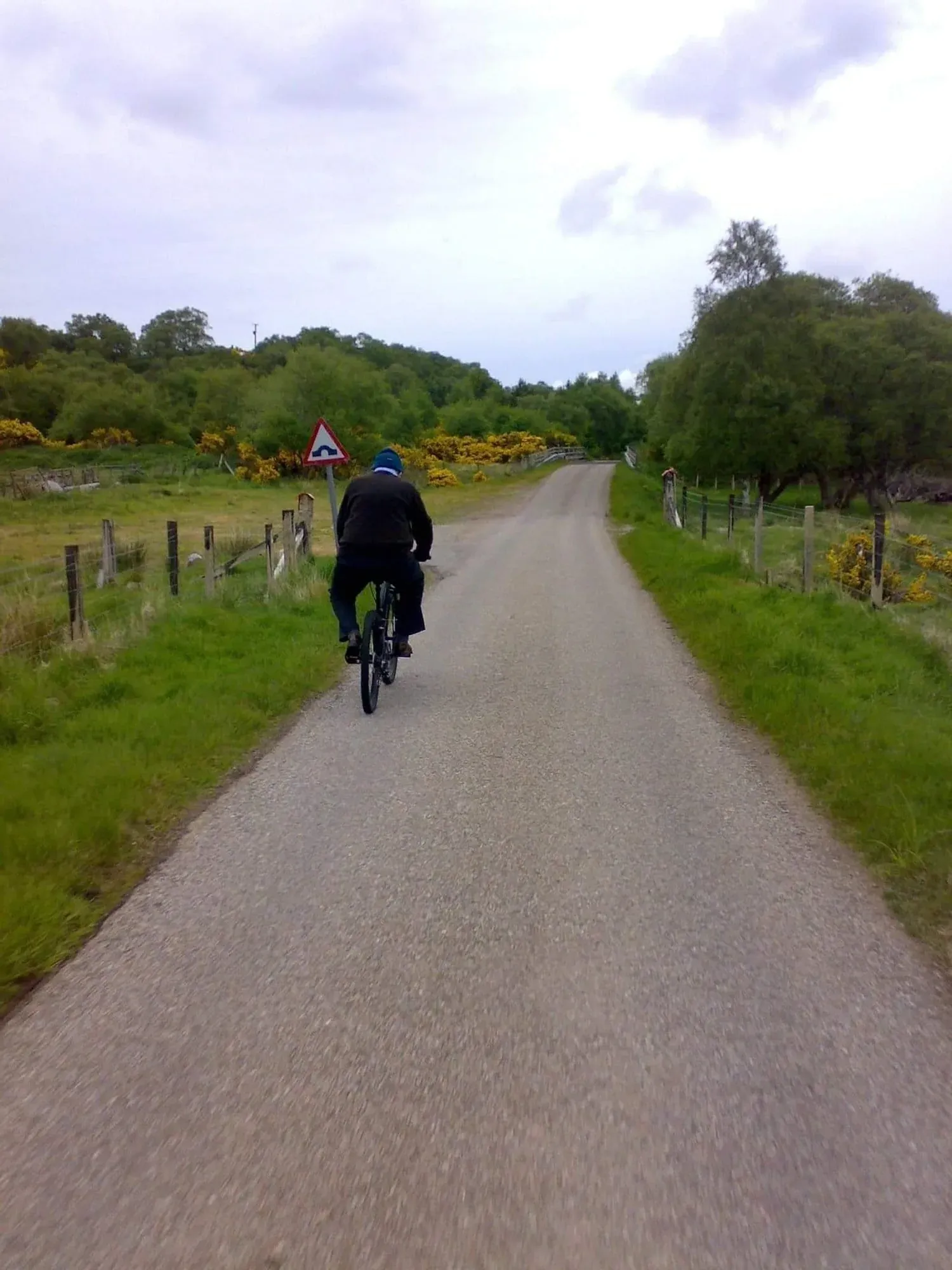 Cyclist riding on rural path through green countryside with yellow gorse