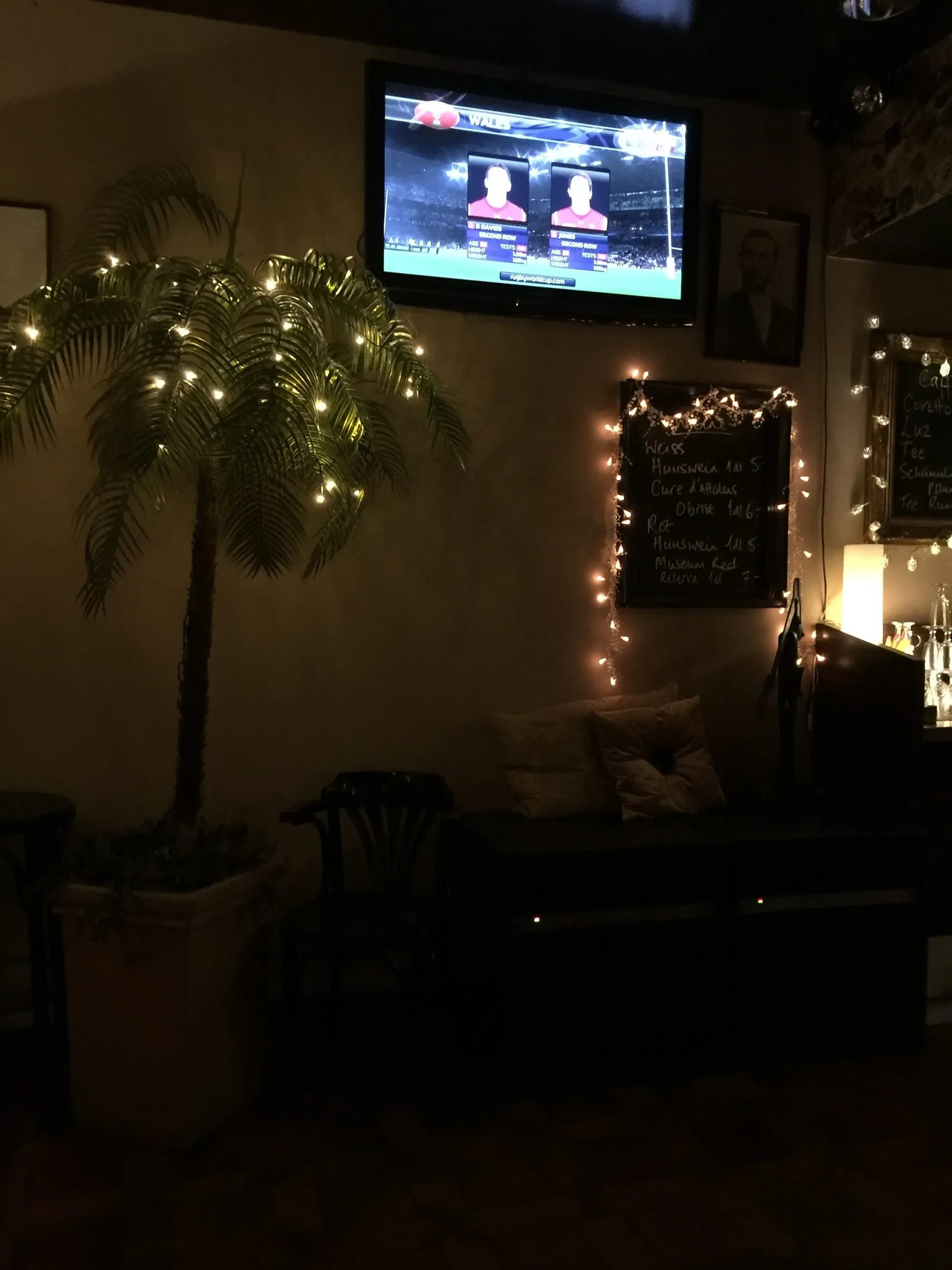 Living room with palm plant, TV showing sports match, and menu board with string lights