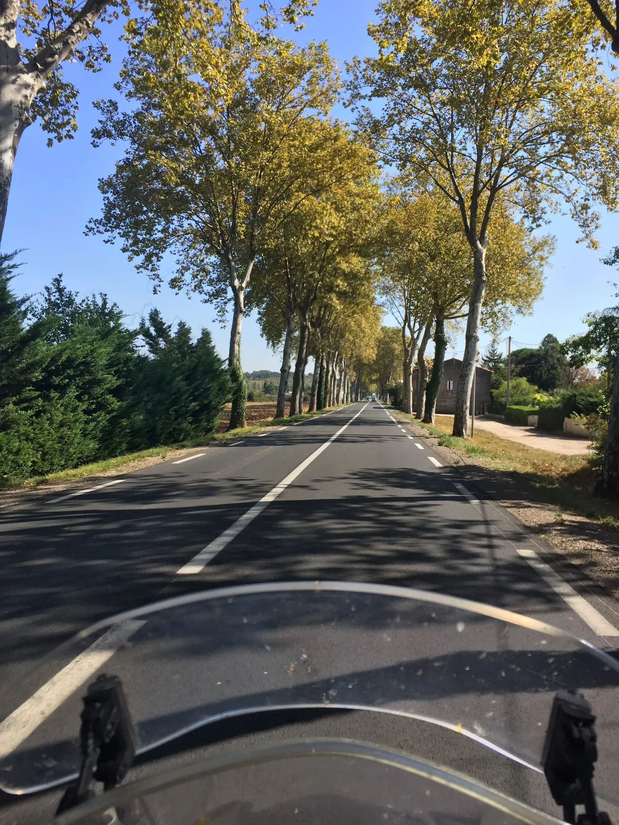 Tree-lined straight rural road with motorcycle hood visible in foreground