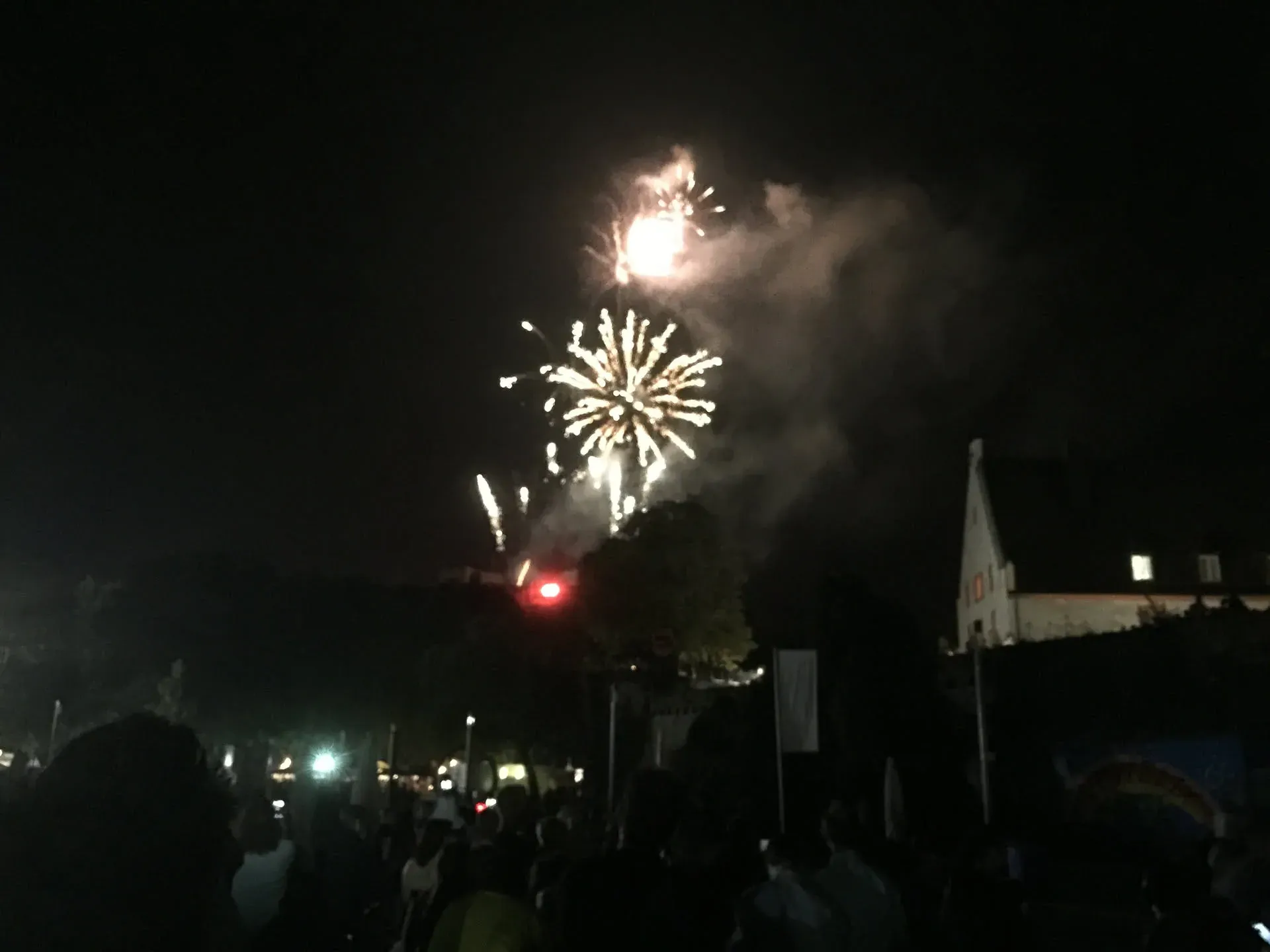 Fireworks exploding over Altstadt at night
