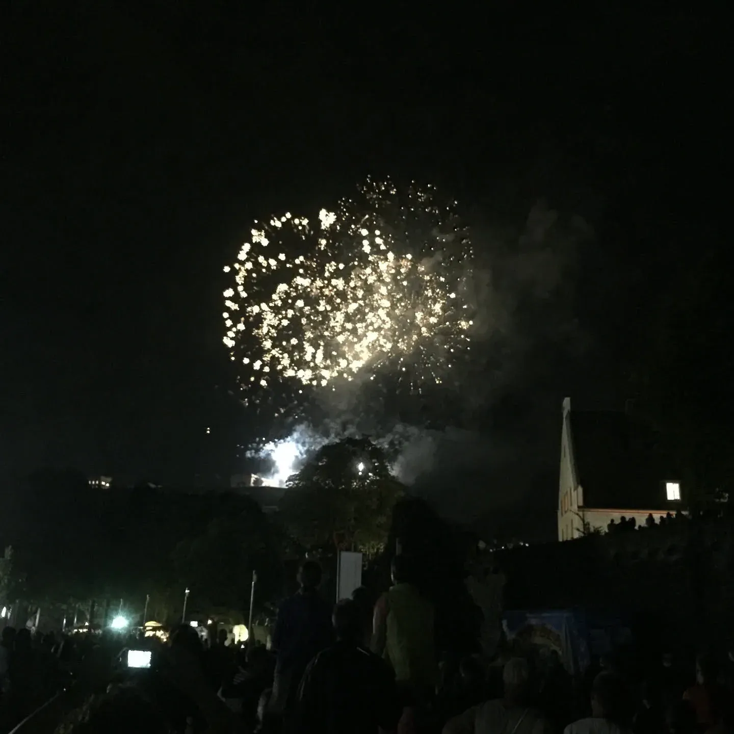 Fireworks exploding over Altstadt church at night