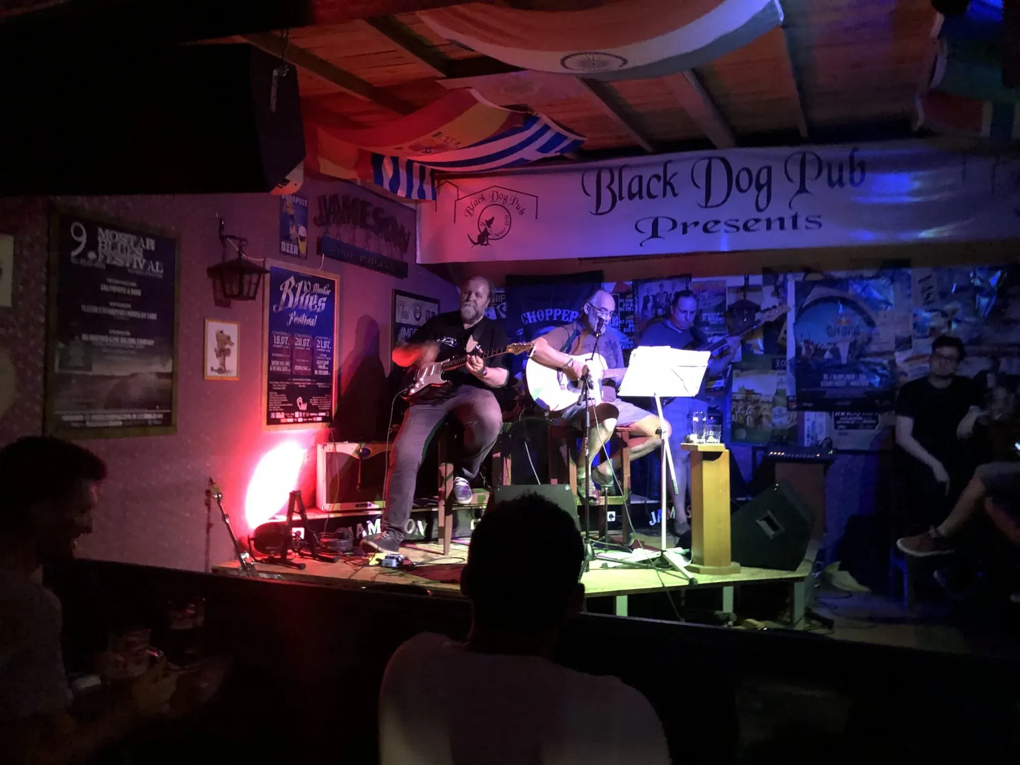 Live blues music performance at Black Dog Pub with guitarist and acoustic performer