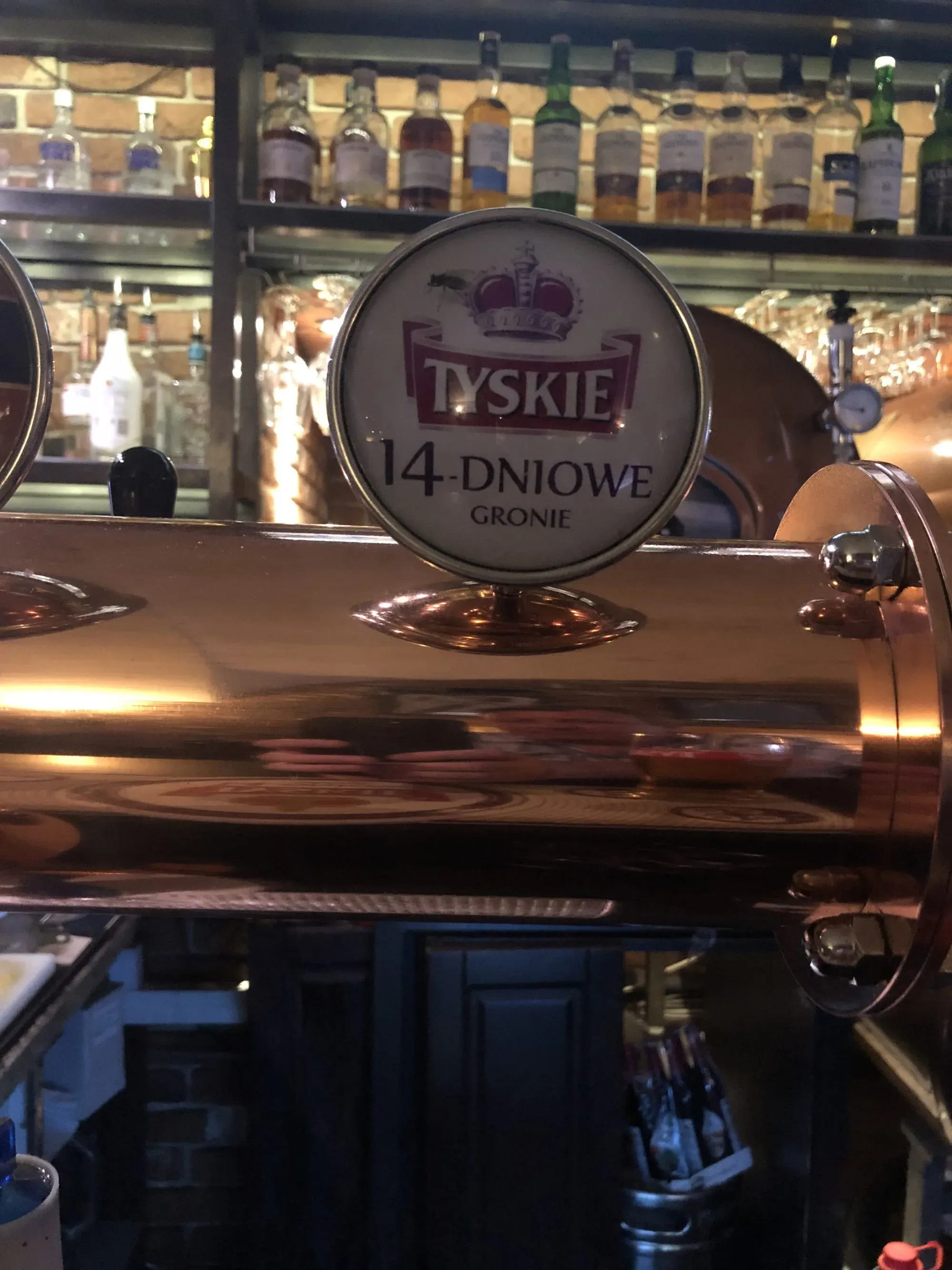 Tyskie beer tap handle on bar counter with liquor bottles displayed behind