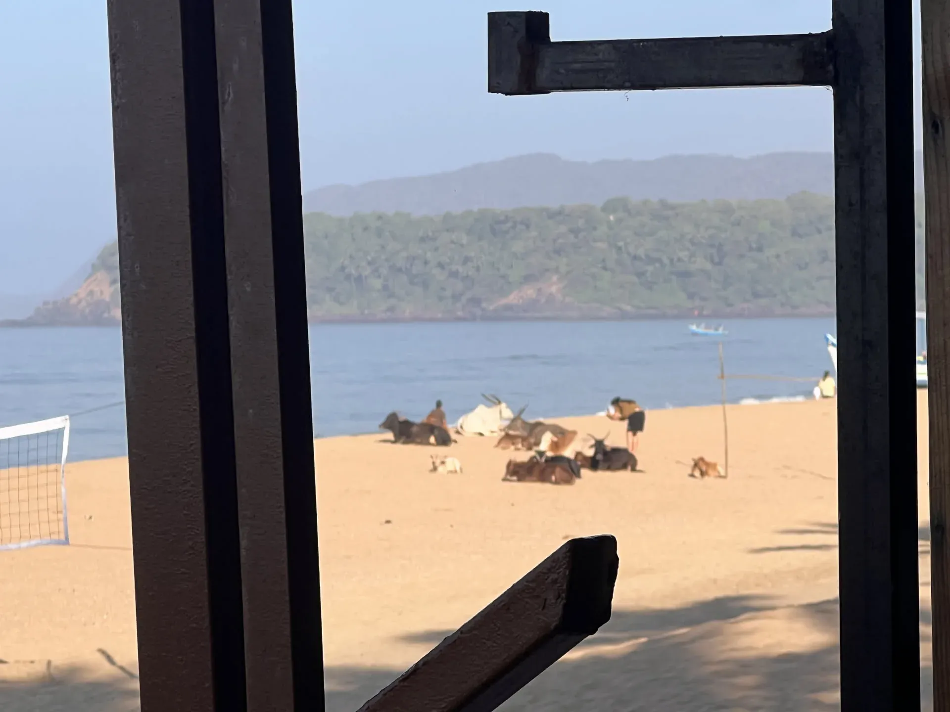 Beach volleyball net at Agonda, framed view of bay