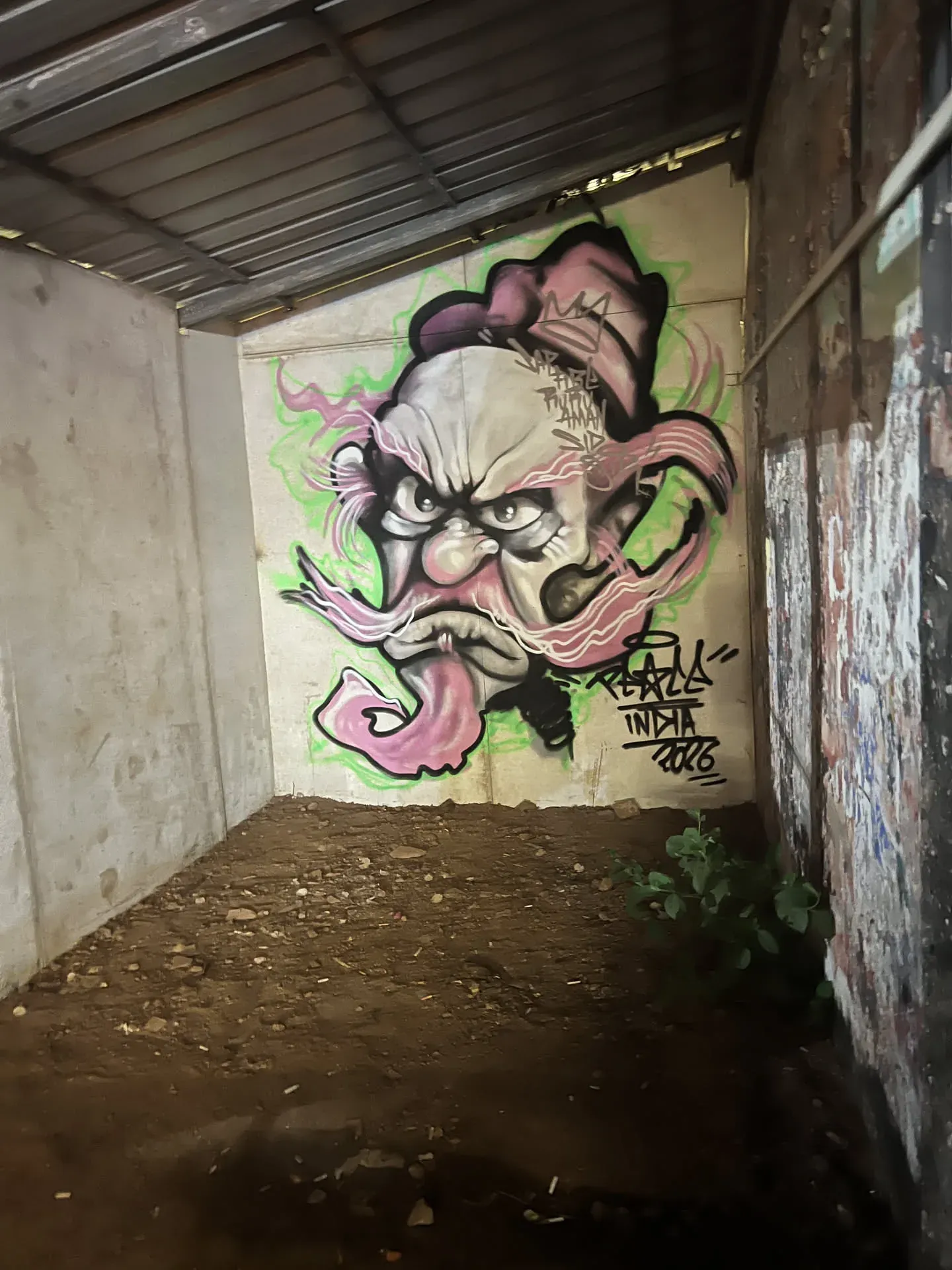 Colorful graffiti portrait in underpass at Agonda