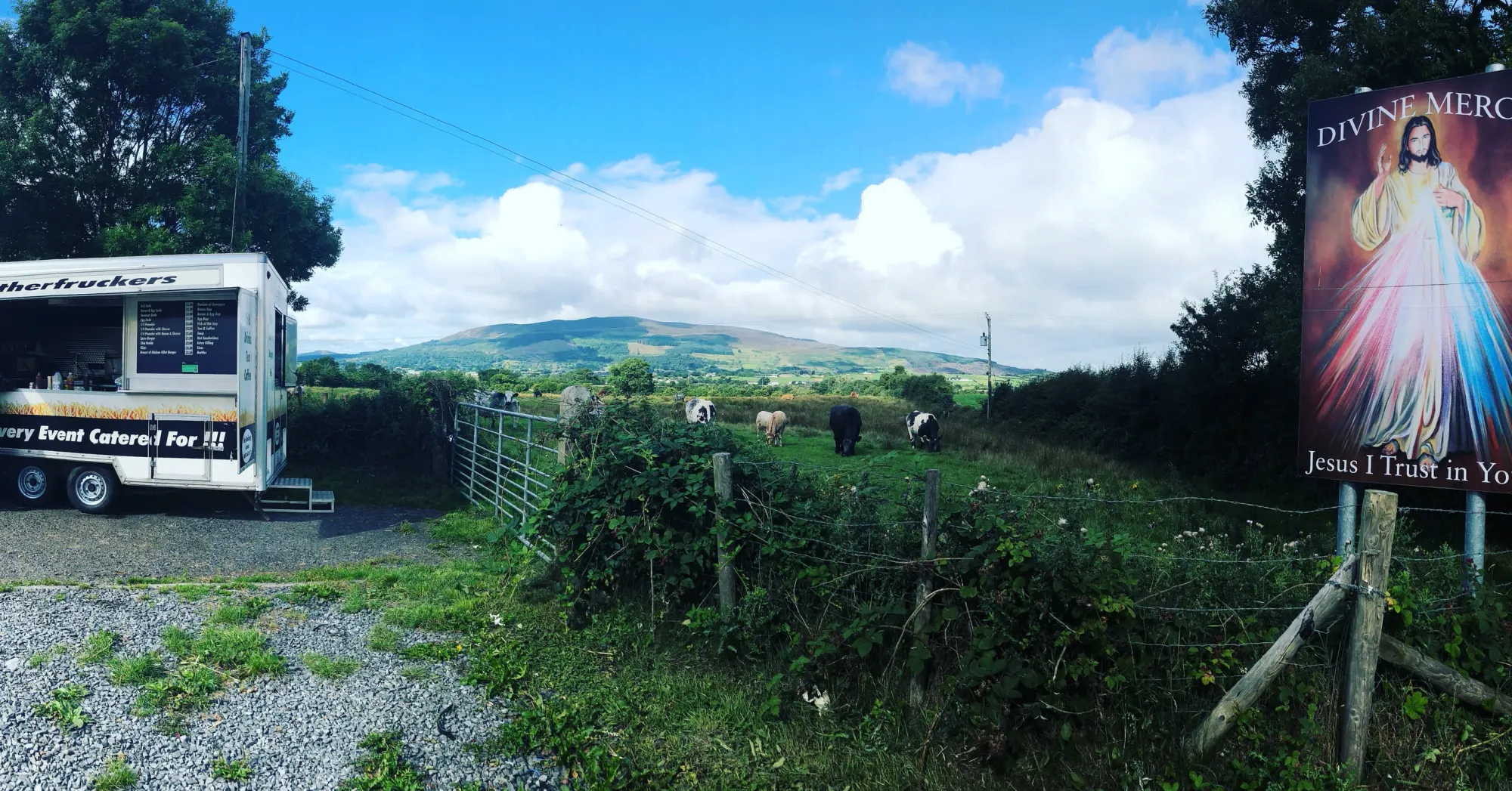 Food truck and cattle grazing, Killean Northern Ireland