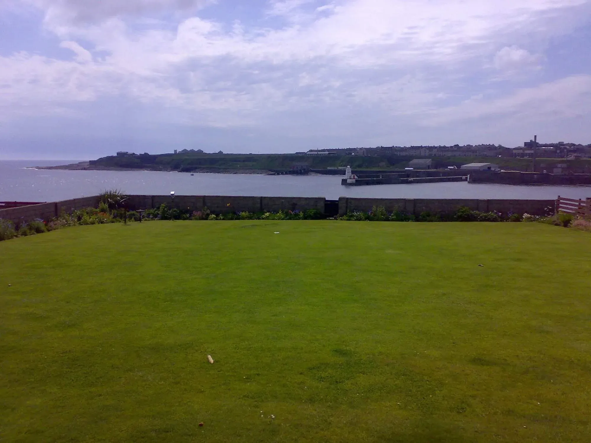 Grassy field overlooking harbor with boats and coastal town
