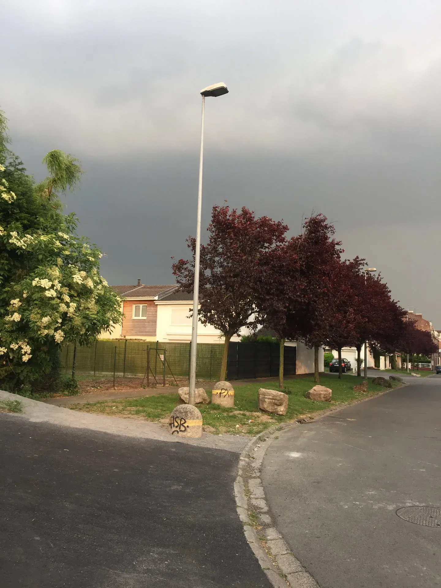 Street lamp and trees in Mons-en-Barœul residential area