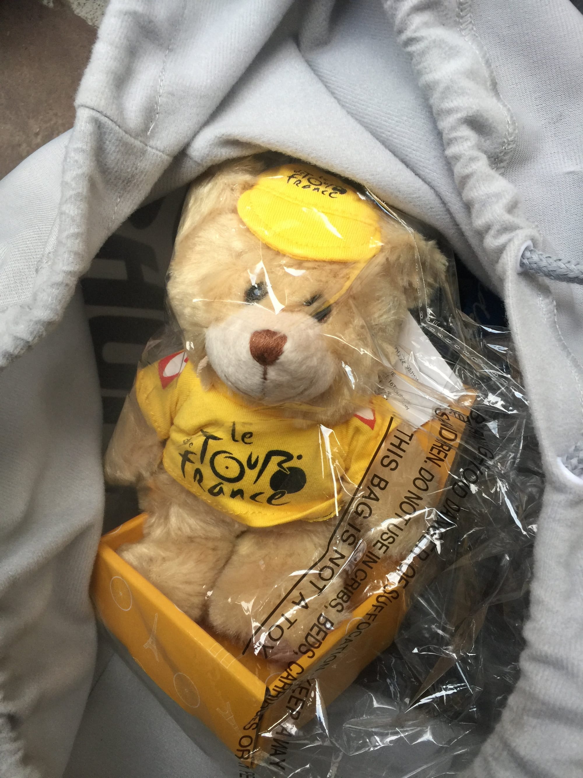 Paddington Bear souvenir wrapped in plastic, Chartres