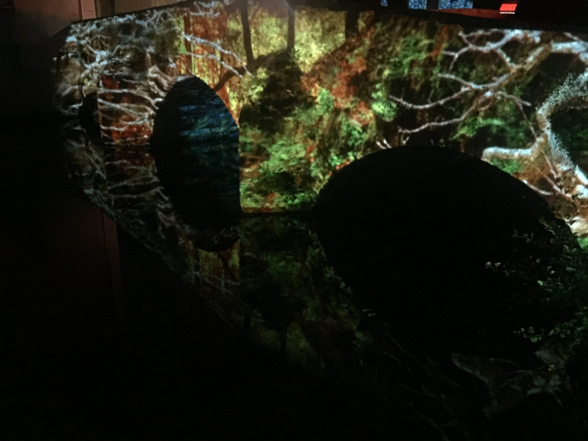 Silhouetted figures in moss-covered stone passage, Chartres