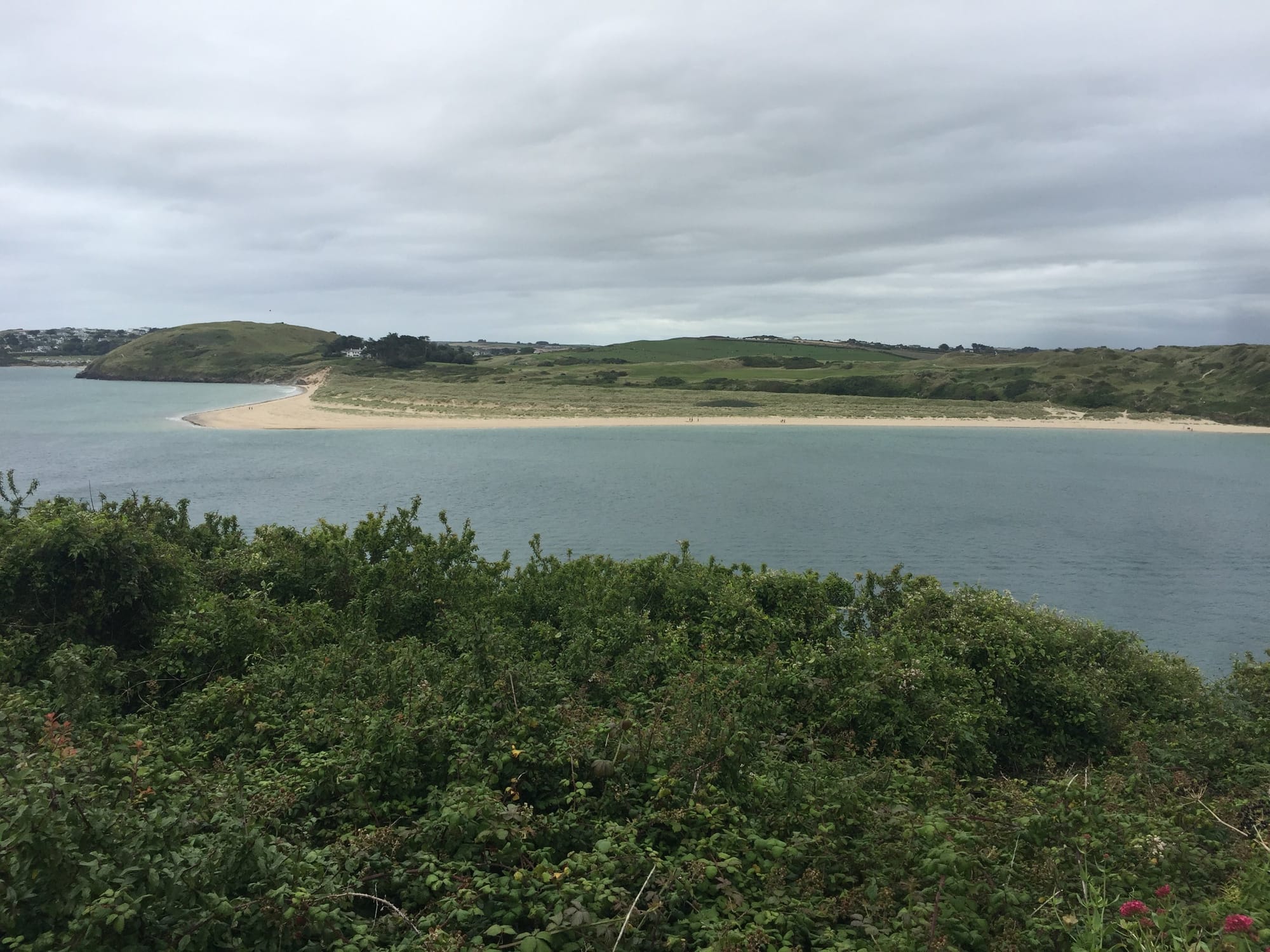 Sandy beach and green headland at Padstow