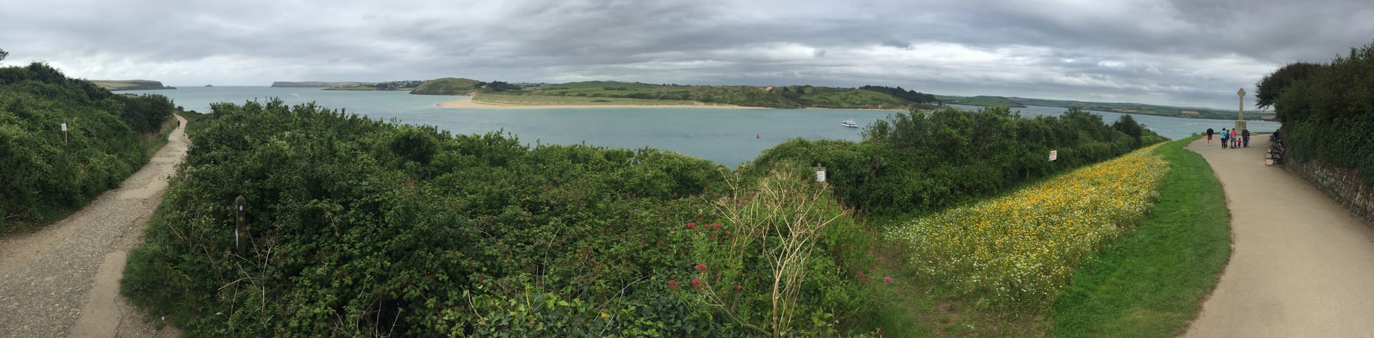 Coastal path at Padstow with wildflowers and bay