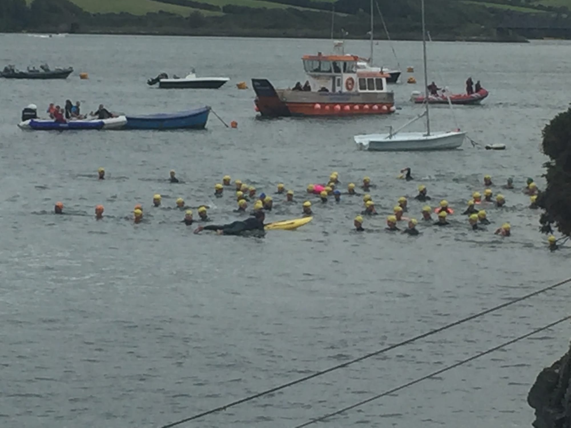 Open water swimming event at Padstow harbor
