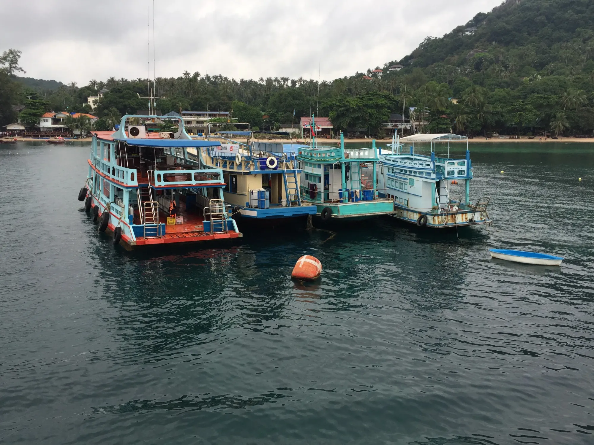 Colorful fishing boats moored in tropical bay
