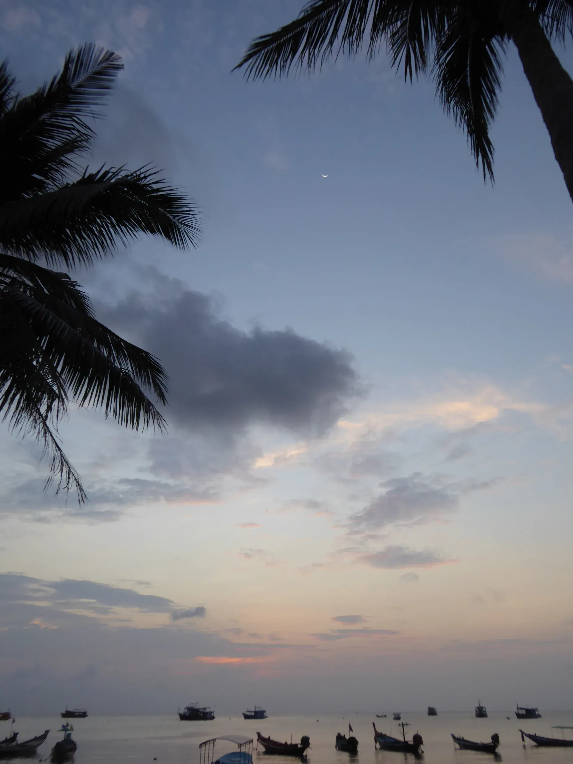 Palm fronds frame tropical beach at dusk