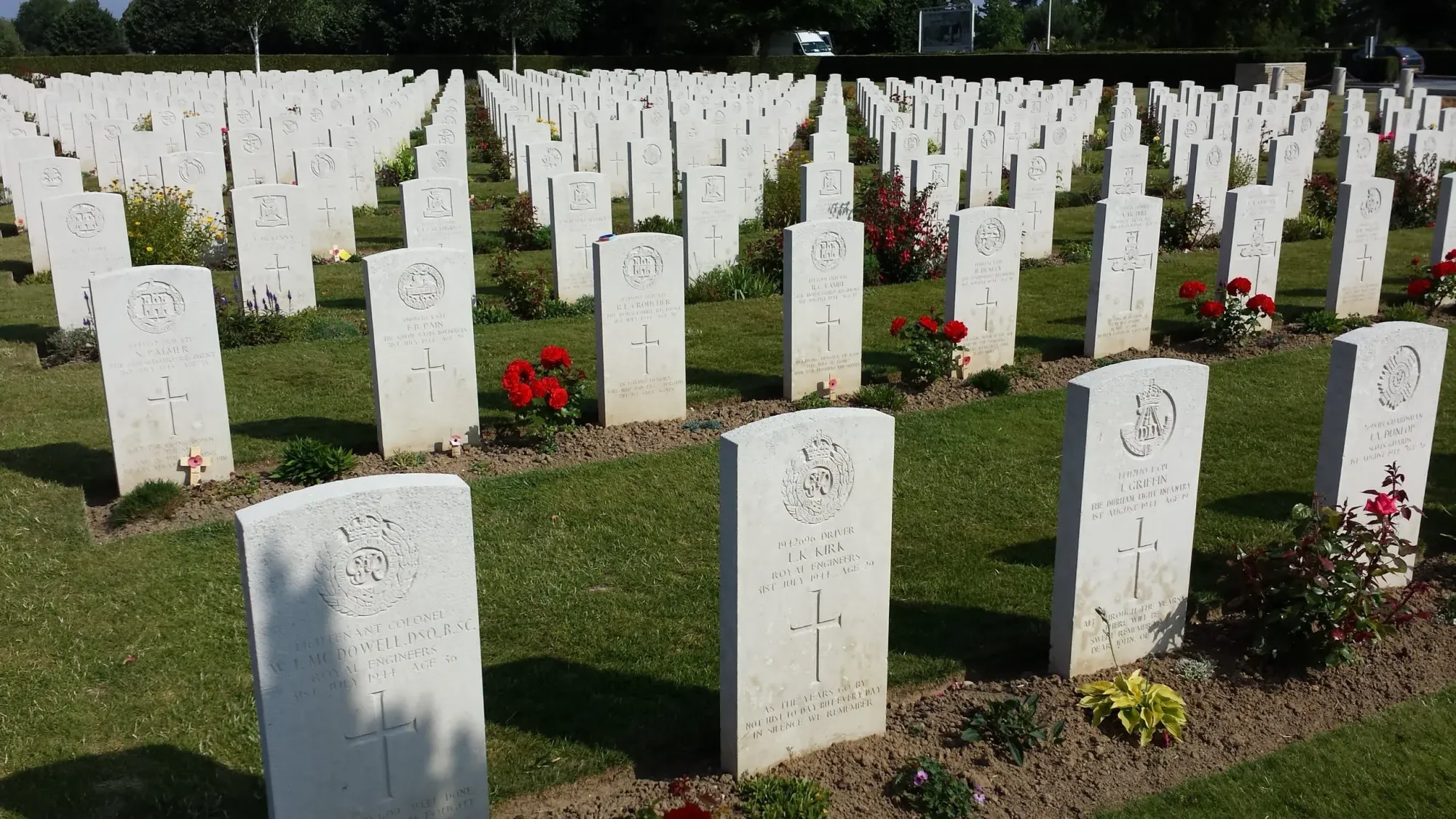 White military headstones in neat rows with red flowers