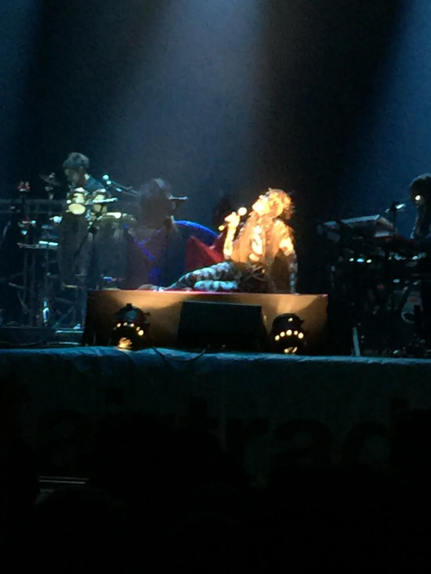 Live concert performance at Stradbally, Ireland