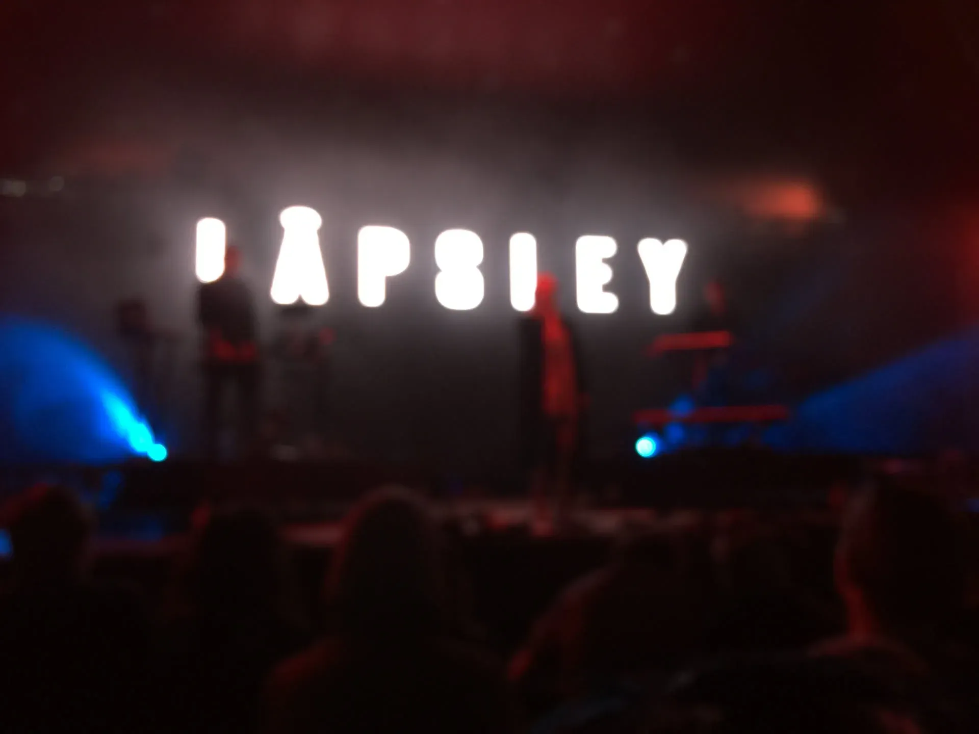 Neon "Lapdey" sign at Stradbally music festival
