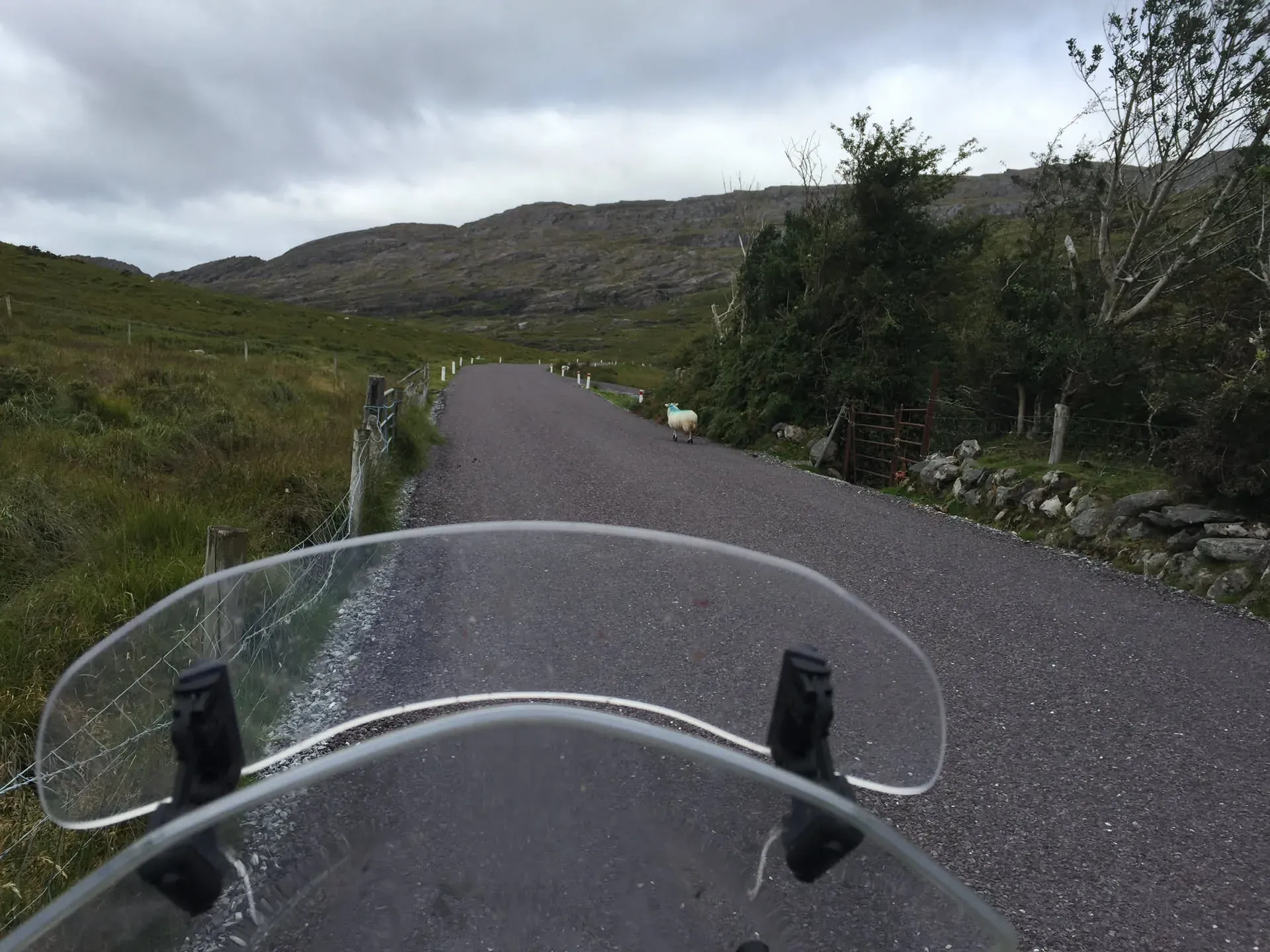 Motorcycle handlebar view down rural West Cork road