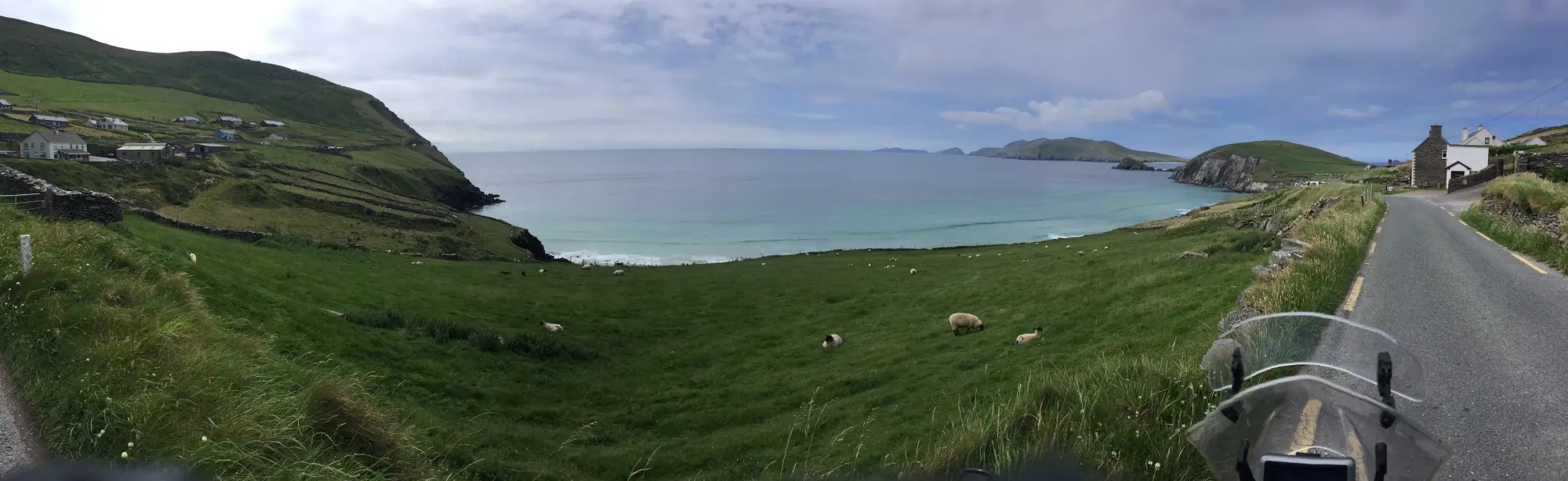 Sheep grazing on green hillside at Toghroinn, Ireland