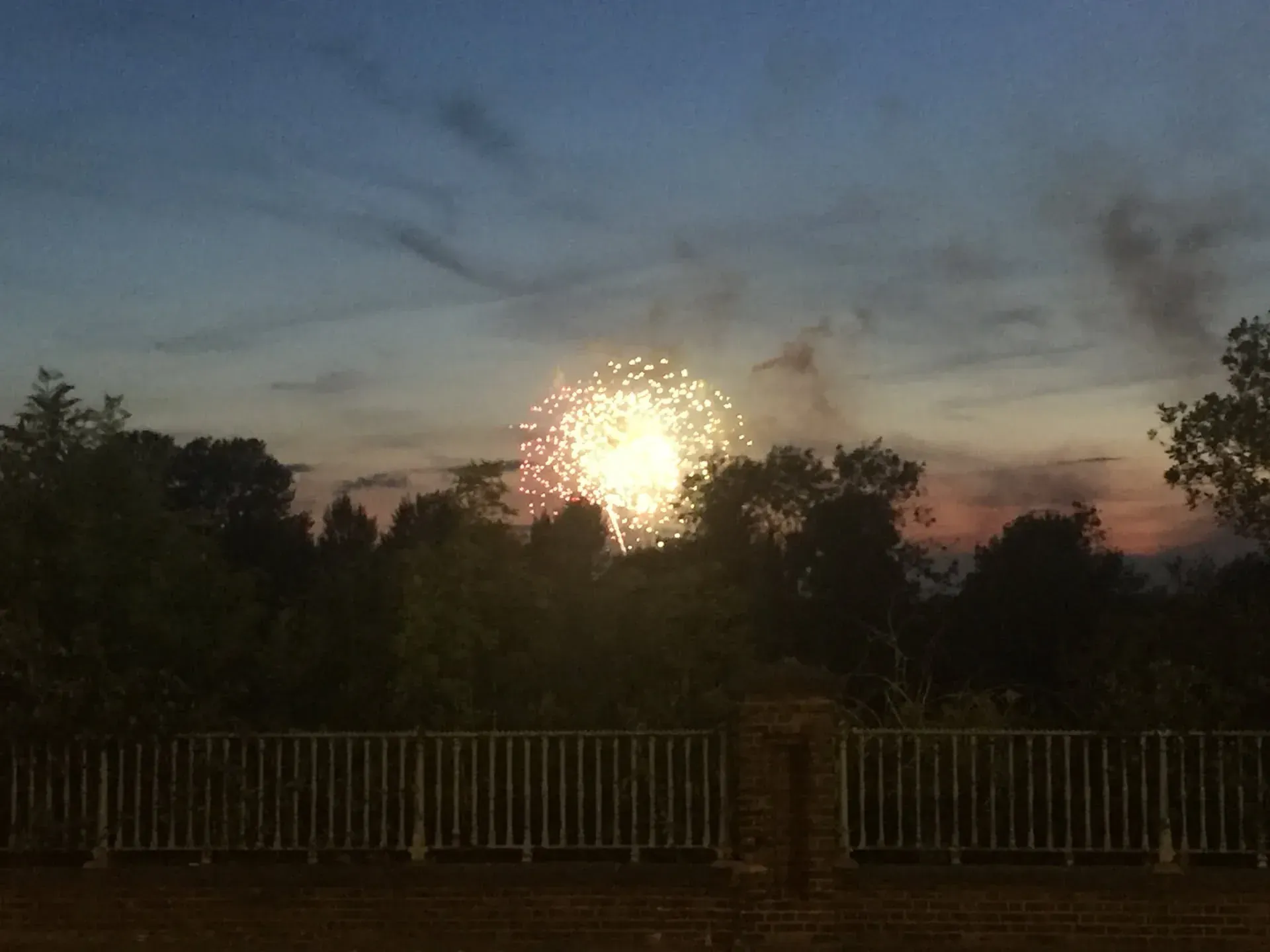Fireworks burst over trees at Surbiton dusk