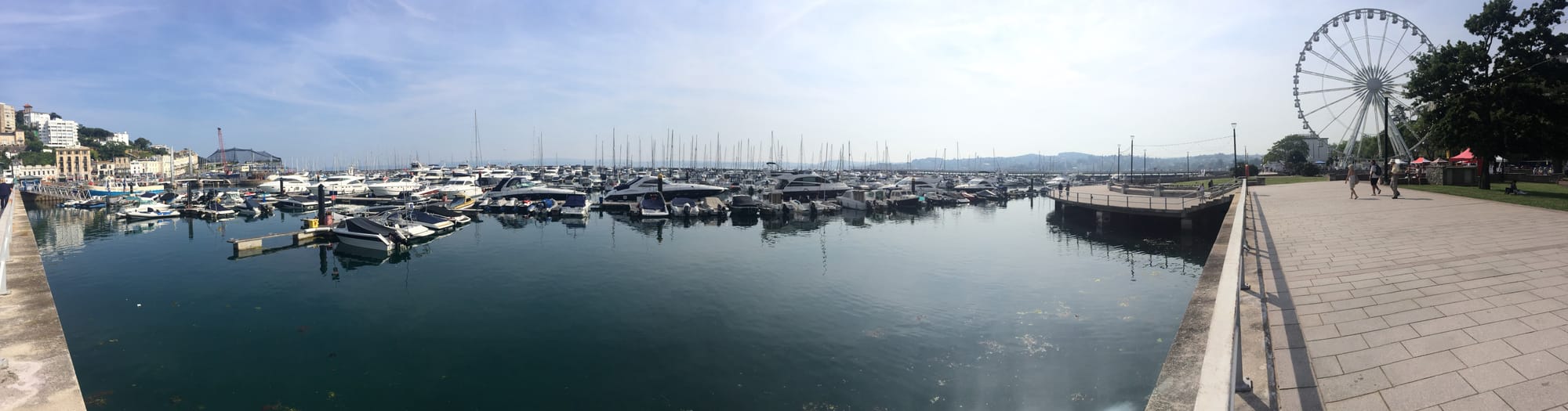 Marina full of sailboats at Ellacombe