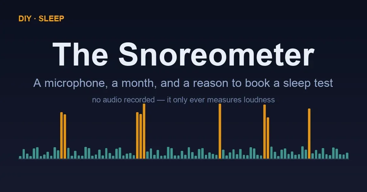 My Snoreometer Might Save My Life. I Also Don't Trust It.